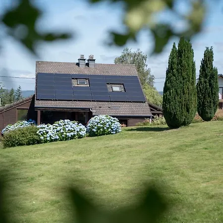 Aux 4 * 부용